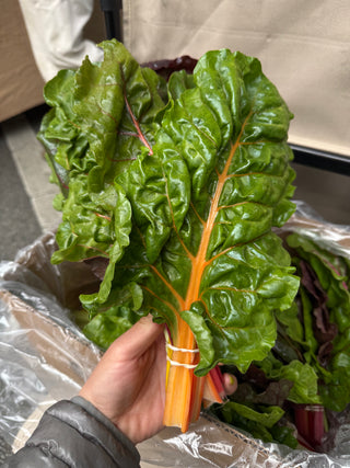 Organic Bright Light Swiss Chard from Apricot Lane Farms - 1 bunch