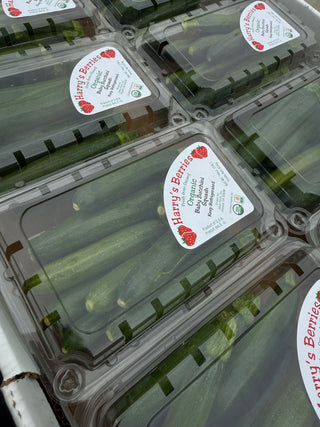 Organic zucchini from Harry’s Berries - 1 pound