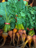 Organic Golden Beets from Garden Of - 1 bunch