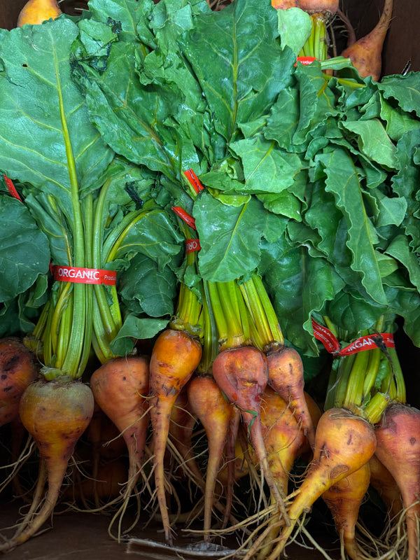 Organic Golden Beets from Garden Of - 1 bunch