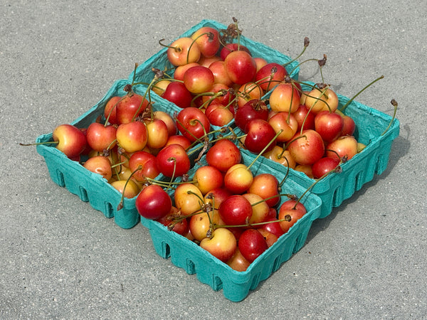 Organic Royal Rainier Cherries from Murray Family Farms - 1lb