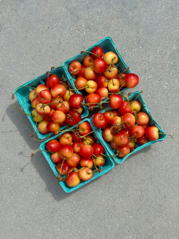 Organic Royal Rainier Cherries from Murray Family Farms - 1lb