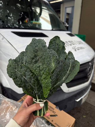 Organic Lacinto Kale from Apricot Lane Farms - 1 bunch