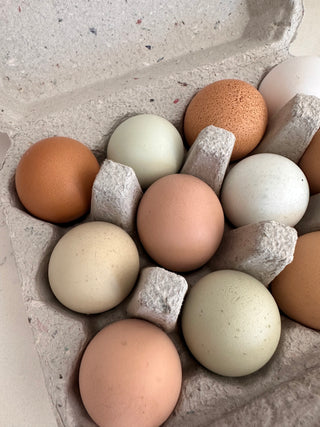 Heirloom Eggs from Windrose Farm