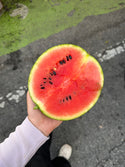 Dark Belle Watermelon from Weiser Family Farms - sold per unit