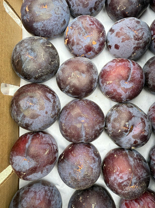 Organic Flavor Rosa Pluots from Burkart Organics 2lbs