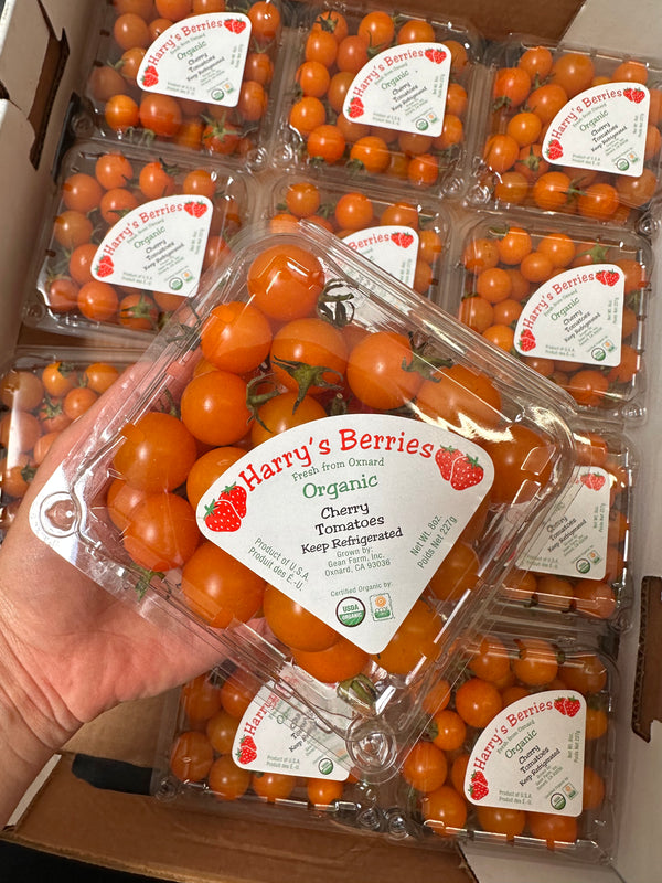 Harry’s Berries Yellow Cherry Tomatoes half pint Certified Organic