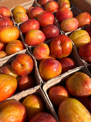Pluot Flavor Grenade from Apricot Lane Farms Certified Organic and Biodynamic - 2lbs