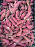 Japanese Sweet Potato from HER Produce - white inside 2lbs