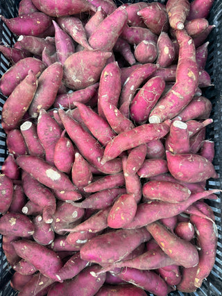 Japanese Sweet Potato from HER Produce - white inside 2lbs