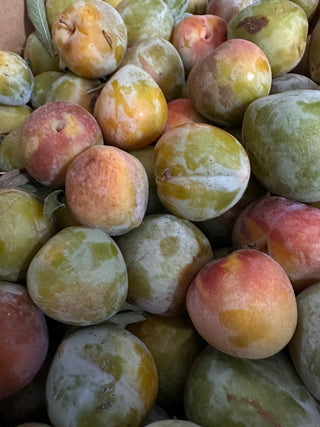 Green Italian Plums from Etheridge Farms - 2lbs - Certified Organic