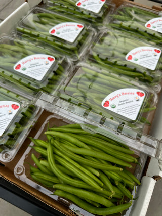 Organic French Green Beans from Harry’s Berries 1lb Certified Organic