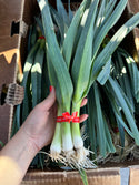 Baby Leeks Frecker Farms Organic