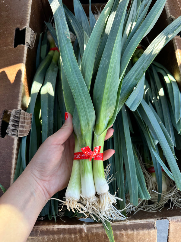 Baby Leeks Frecker Farms Organic