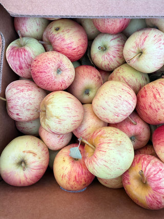 Gala Apples from See Canyon 2lbs