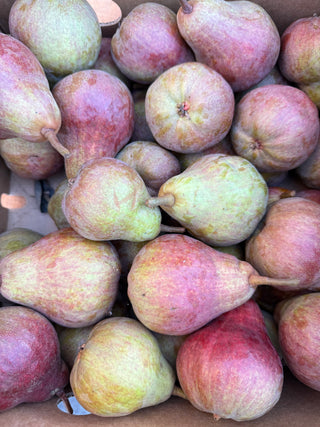 Pears from Cirone Farm 2lbs