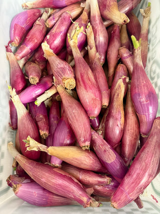 Organic Torpedo Onion from Garden Of 1 pound