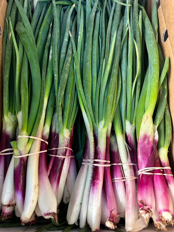 Sweet Young Spring Red Onion - 1 bunch