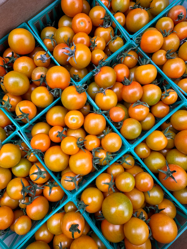 Sungold Tomatoes from Wong Farms