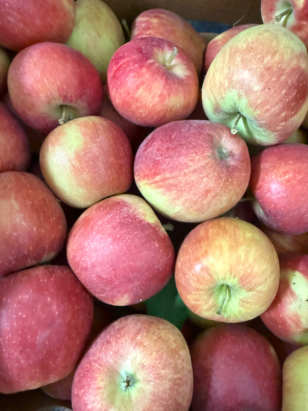 Braeburn Apples from Cirone Farms now available 2lbs See Canyon Fruit Ranch
