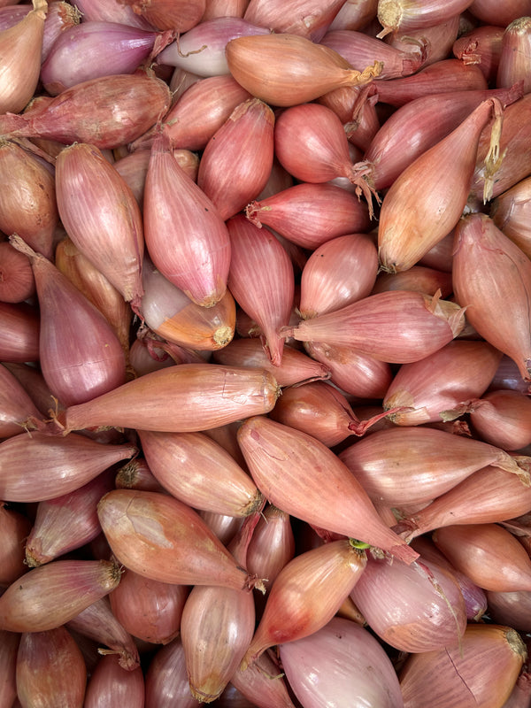Shallots from Schaner Farms - 1lb