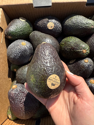 Organic Lamb Hass Avocado from Apricot Lane Farms 1 unit