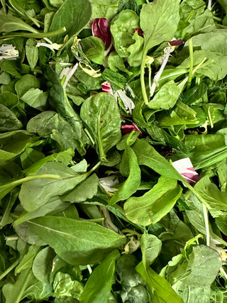 Organic Herb Special Winter Mix from Kenter Canyon