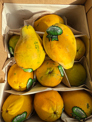 Organic Papaya from Kumu Farms