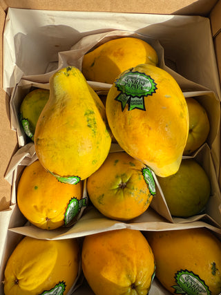 Organic Papaya from Kumu Farms