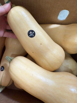 Organic Butternut Squash from Apricot Lane Farms