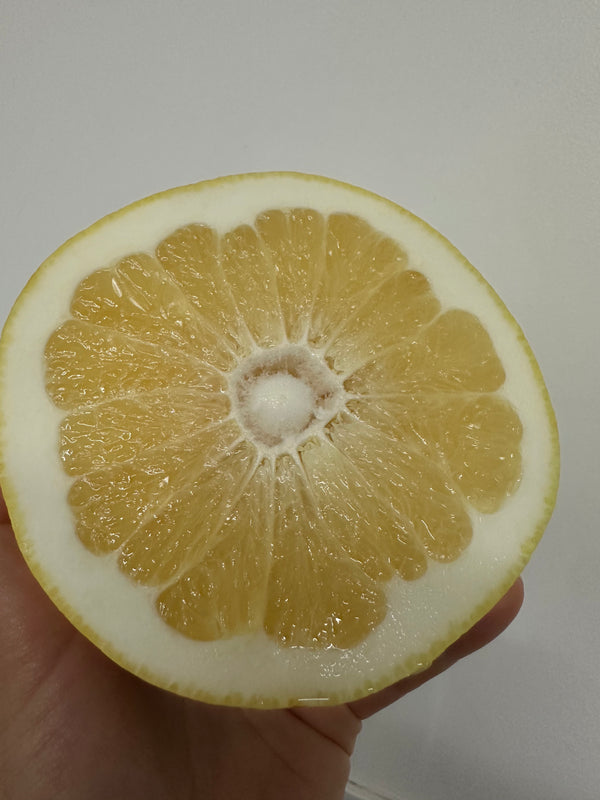 Organic Melogold Grapefruit from Murray Family Farms  - 1 unit