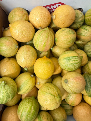 Organic Pink Variegated Lemon 1 pound