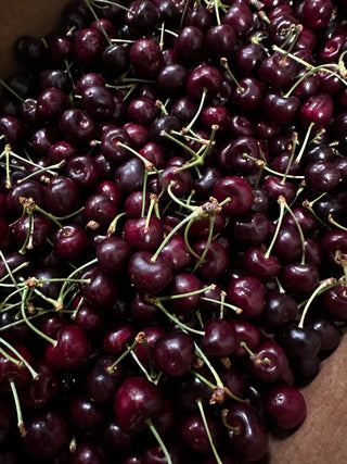 Black Republican Cherries from Andy’s Orchard - 1lb