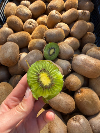 Hayward Kiwi from Brokaw 2lbs