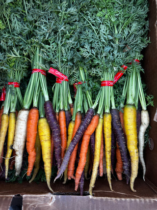 Organic Rainbow Carrots from Garden Of - 1 bunch
