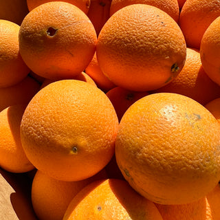 Fruit