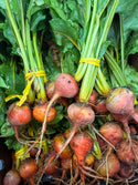 Organic Loose Golden Beet from AZ Ranch - 2lbs -