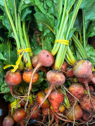 Organic Loose Golden Beet from AZ Ranch - 2lbs -