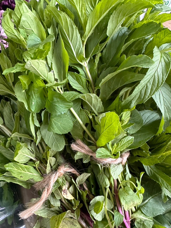 Persian Mint from Windrose Farms 1 bunch