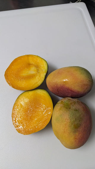 Golden Lady Mango from Wong Farms - 2lbs -