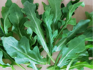 Organic Arugula from Garden Of - half pound
