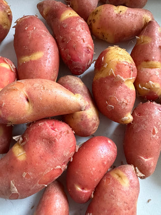 Magic Myrna Alaskan Potato from Weiser Family Farms - 2lbs