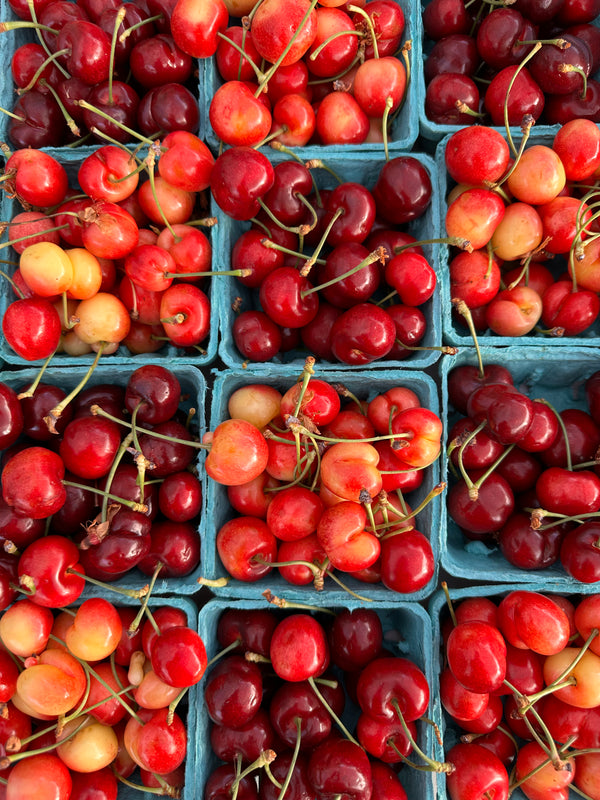 Organic Royal Rainier Cherries from Murray Family Farms - 1lb