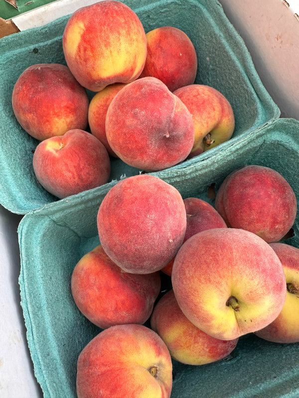 Festa Gem Peaches from Juicy Fruit Farm 2lbs Certified organic