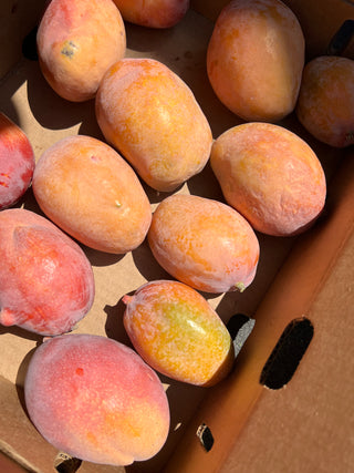 Desert Ruby Mango from Wong Farms - 2lbs