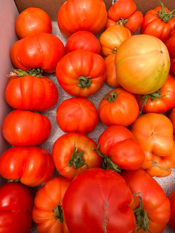Heirloom Tomatoes from Tutti Frutti - Certified Organic - 2lbs