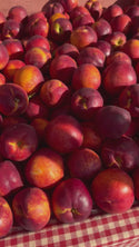 June Lady Yellow Peach from Tenerelli Orchards - 2lbs