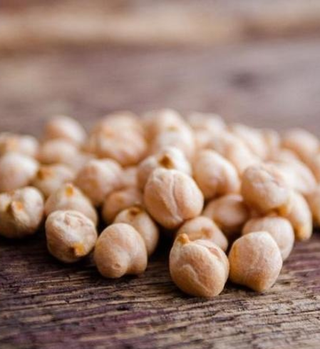 Organic Garbanzo Beans  from Kandarian Farms