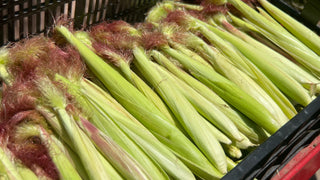 Organic Baby Corn from McGrath Family Farms - 1lb - Certified Organic