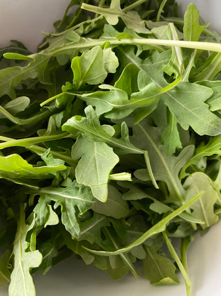 Wild Arugula from Country Fresh Herbs